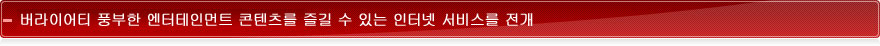 버라이어티 풍부한 엔터테인먼트 콘텐츠를 즐길 수 있는 인터넷 서비스를 전개
